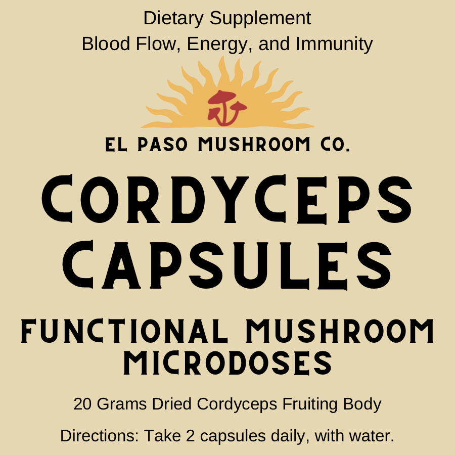 Fruiting Body Cordyceps Capsules