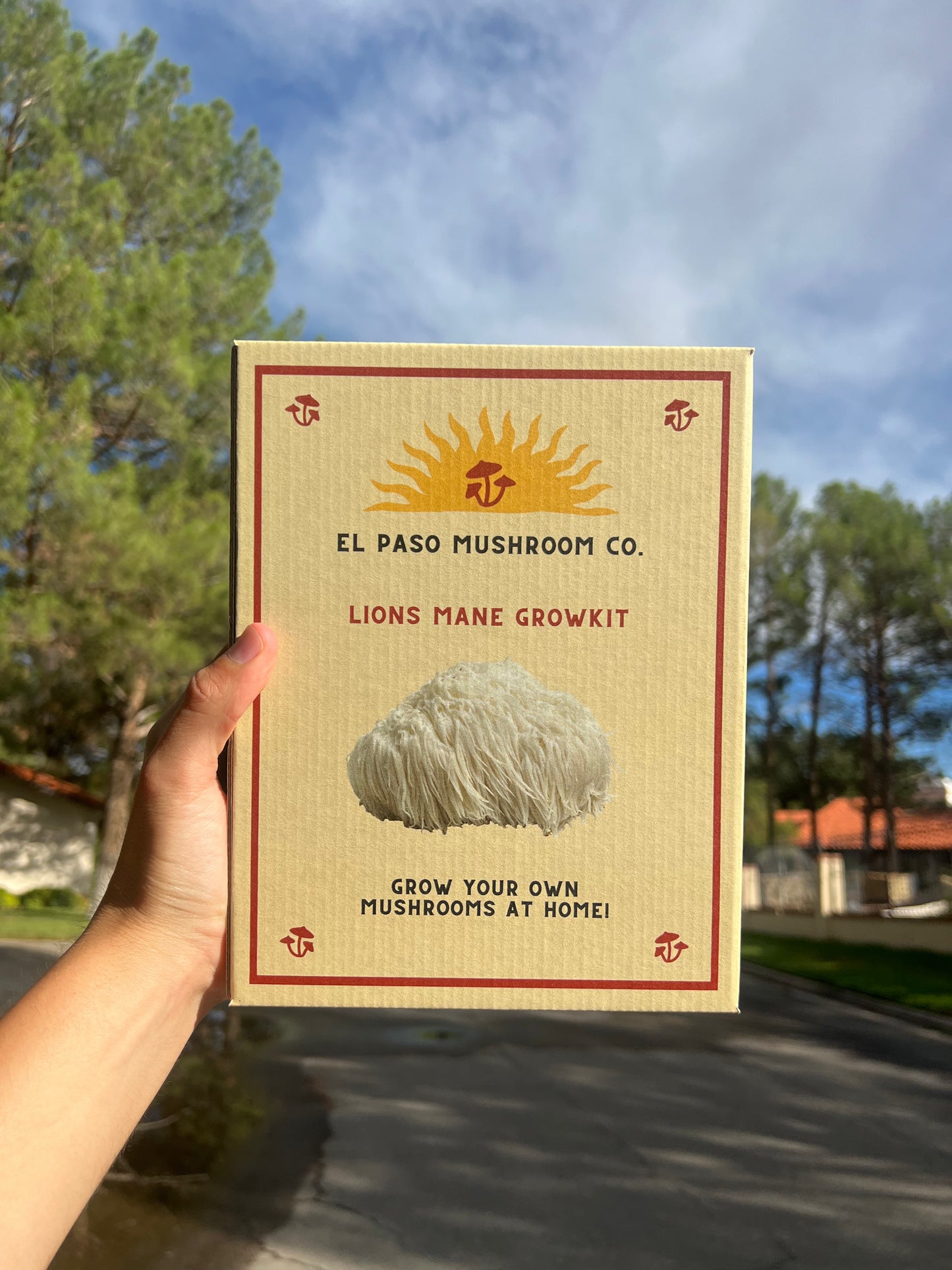Lions Mane Grow Kit