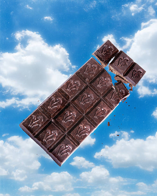 Lions Mane Chocolate Bar