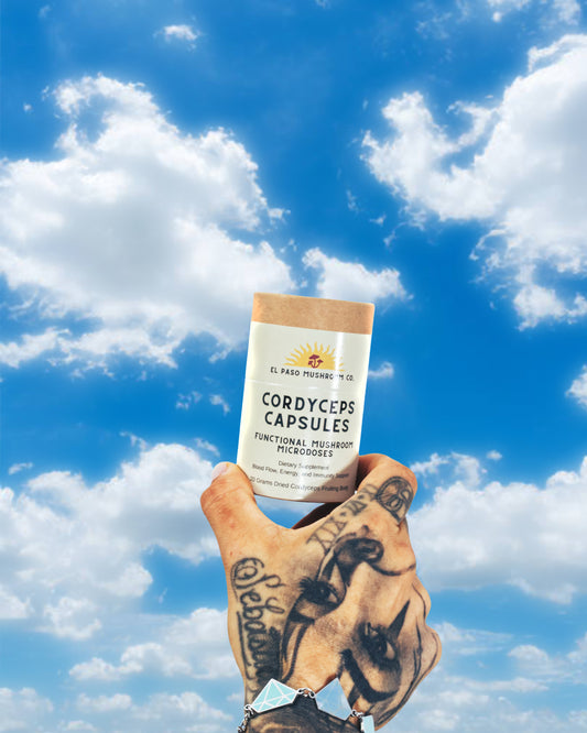 Fruiting Body Cordyceps Capsules