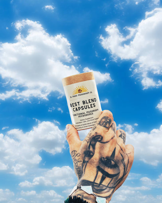 Rest Blend Capsules: Reishi + Ashwagandha (50/50)